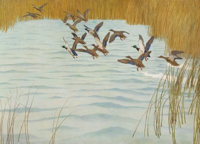 Germani reali in autunno, 1941 da Newell Convers Wyeth